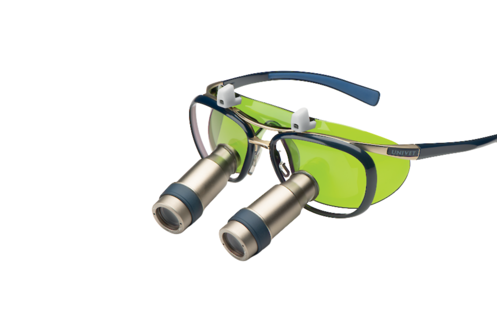 LASER PROTECTIVE FILTER FOR LOUPE